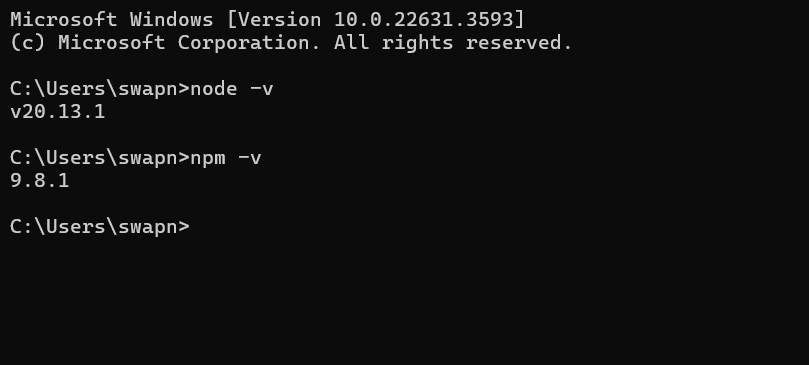 Terminal verification of node and npm versions